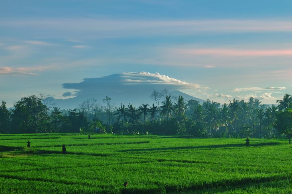 Putra Guest House Ubud  Ngoại thất bức ảnh